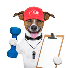 Image showing fitness dog