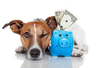 Image showing dog with piggy bank