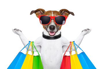 Image showing shopping dog