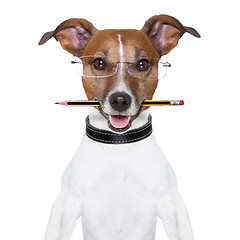 Image showing dog pencil