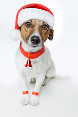 Image showing christmas dog santa