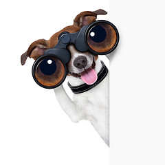 Image showing binoculars  dog