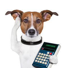 Image showing Successful dog accountant 