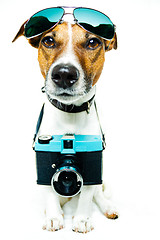 Image showing dog photo camera