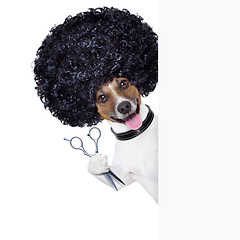 Image showing hairdresser   dog 