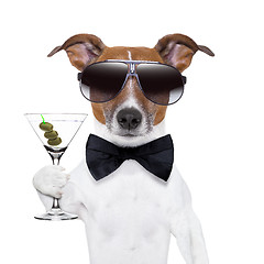 Image showing martini dog