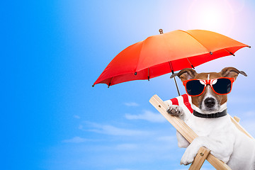 Image showing dog sunbathing on a deck chair with empty space on side