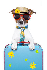 Image showing holiday dog