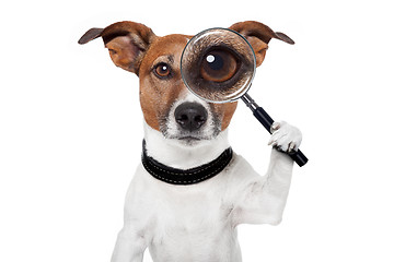 Image showing searching dog with magnifying glass