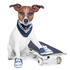 Image showing skateboard dog