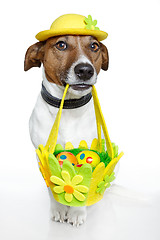 Image showing Dog holding colorful easter basket 