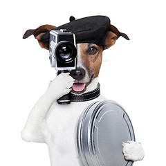 Image showing movie director dog