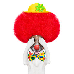 Image showing clown dog with red wig and hat 