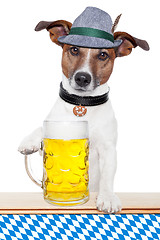 Image showing dog oktoberfest