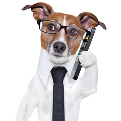 Image showing smartphone dog 