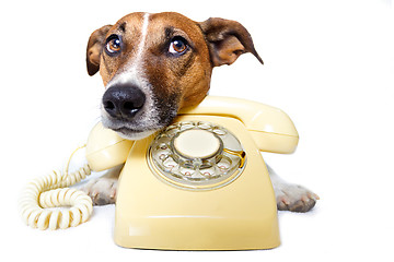 Image showing dog phone call