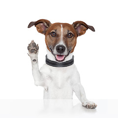 Image showing hello goodbye high five dog 