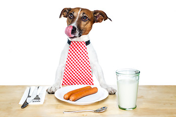 Image showing dinner meal at table dog 