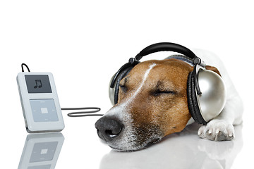 Image showing Dog listen to music with a music player