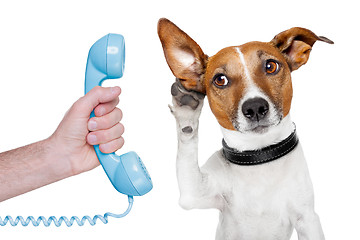 Image showing dog on the phone male hand