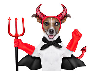 Image showing devil dog 