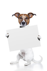 Image showing banner placeholder dog 