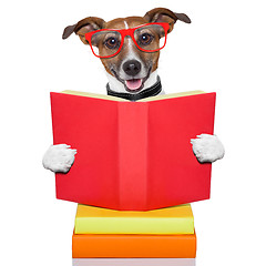 Image showing school learing dog 