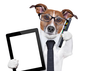 Image showing business dog