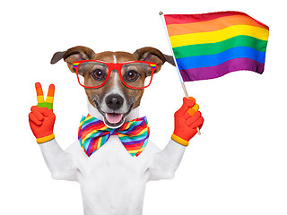 Image showing gay pride dog