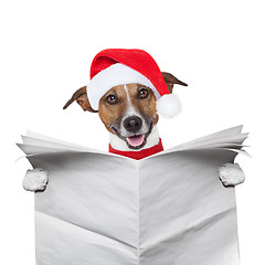 Image showing Christmas  dog 