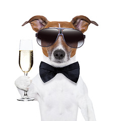 Image showing cheers dog