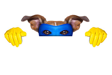 Image showing super hero dog