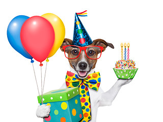 Image showing birthday dog 