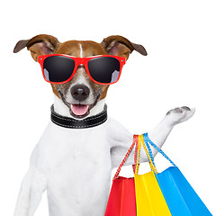 Image showing shopping dog