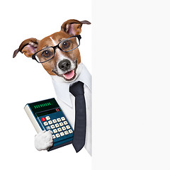 Image showing accountant dog 