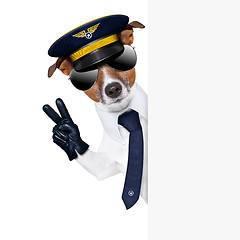 Image showing pilot dog