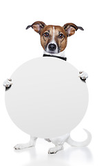 Image showing banner placeholder dog 