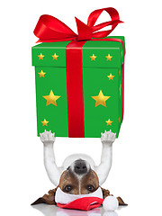 Image showing christmas dog