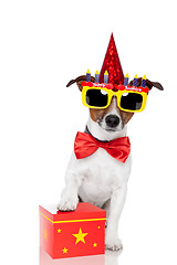 Image showing birthday dog 