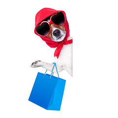 Image showing shopaholic shopping diva dog 