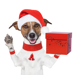 Image showing surprise christmas dog with a present box