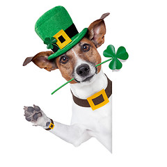 Image showing st. patrick's day dog