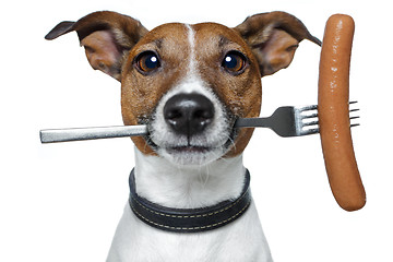 Image showing hungry dog with a sausage on the fork