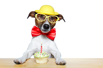 Image showing birthday dog cupcake