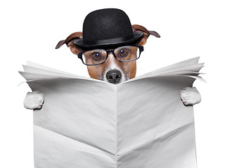 Image showing British dog reading 