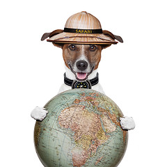 Image showing travel globe compass dog safari explorer