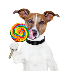 Image showing candy lollypop  licking  dog