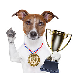 Image showing winner dog 