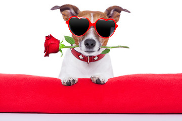 Image showing valentines day dog 