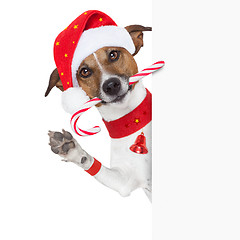 Image showing christmas dog 